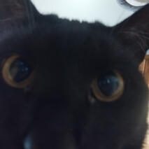 ??